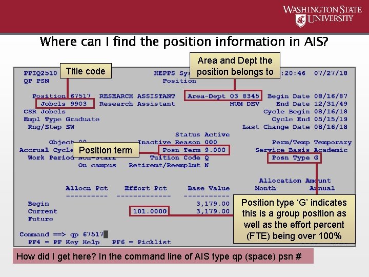 Where can I find the position information in AIS? Title code Area and Dept