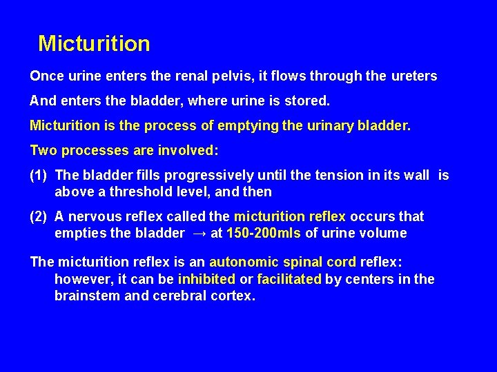 Micturition Once urine enters the renal pelvis, it flows through the ureters And enters