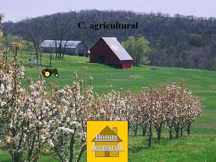 C. agricultural Bonus Jeopardy 