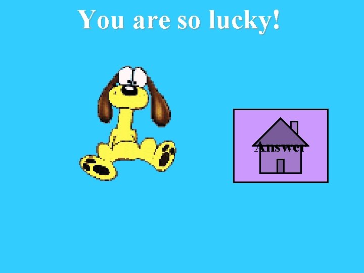 You are so lucky! Answer 