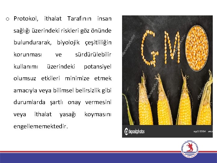 o Protokol, ithalat Tarafının insan sağlığı üzerindeki riskleri göz önünde bulundurarak, biyolojik çeşitliliğin korunması