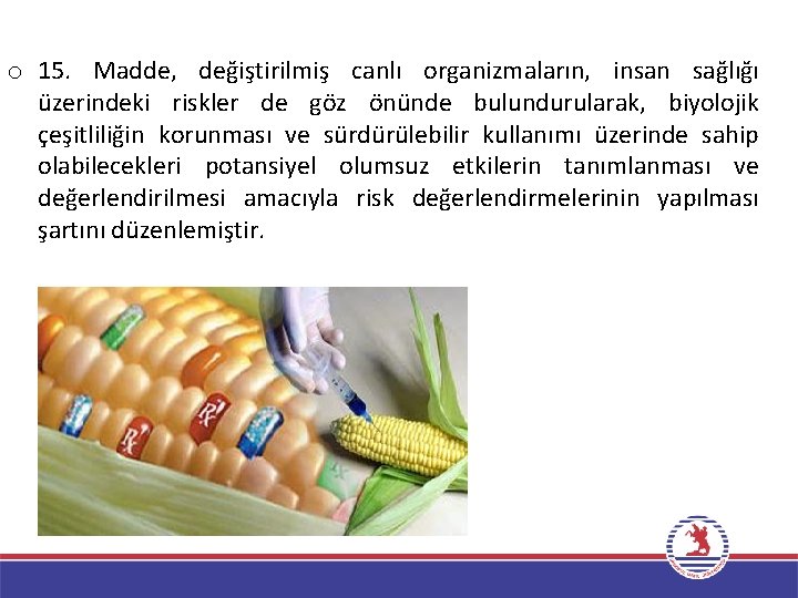 o 15. Madde, değiştirilmiş canlı organizmaların, insan sağlığı üzerindeki riskler de göz önünde bulundurularak,