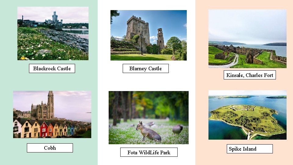 Blackrock Castle Blarney Castle Kinsale, Charles Fort Cobh Fota Wild. Life Park Spike Island