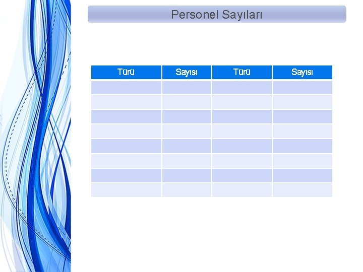 Personel Sayıları Türü Sayısı 