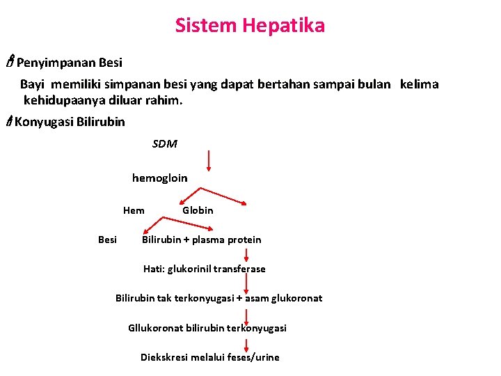 Sistem Hepatika Penyimpanan Besi Bayi memiliki simpanan besi yang dapat bertahan sampai bulan kelima