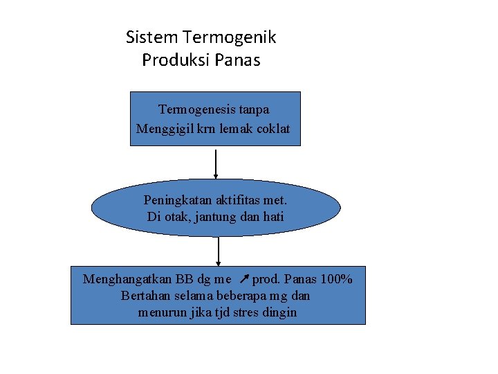 Sistem Termogenik Produksi Panas Termogenesis tanpa Menggigil krn lemak coklat Peningkatan aktifitas met. Di