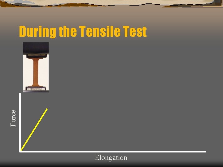 Force During the Tensile Test Elongation 
