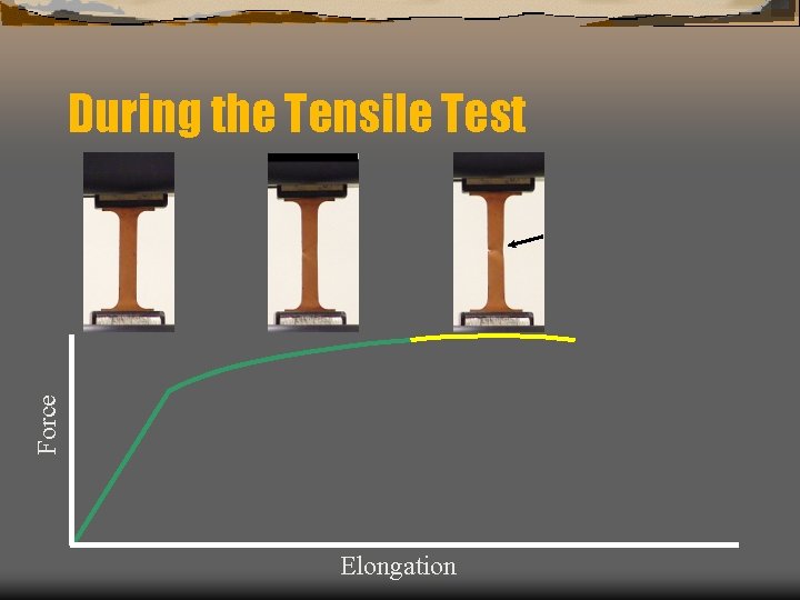 Force During the Tensile Test Elongation 