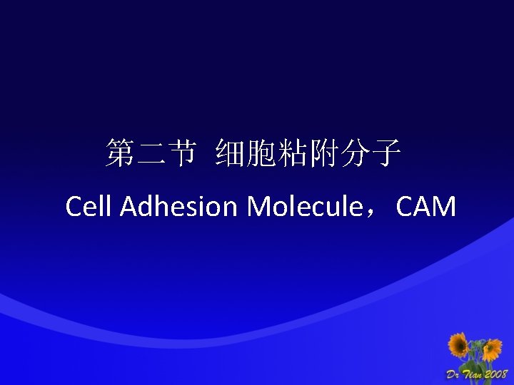 第二节 细胞粘附分子 Cell Adhesion Molecule，CAM 