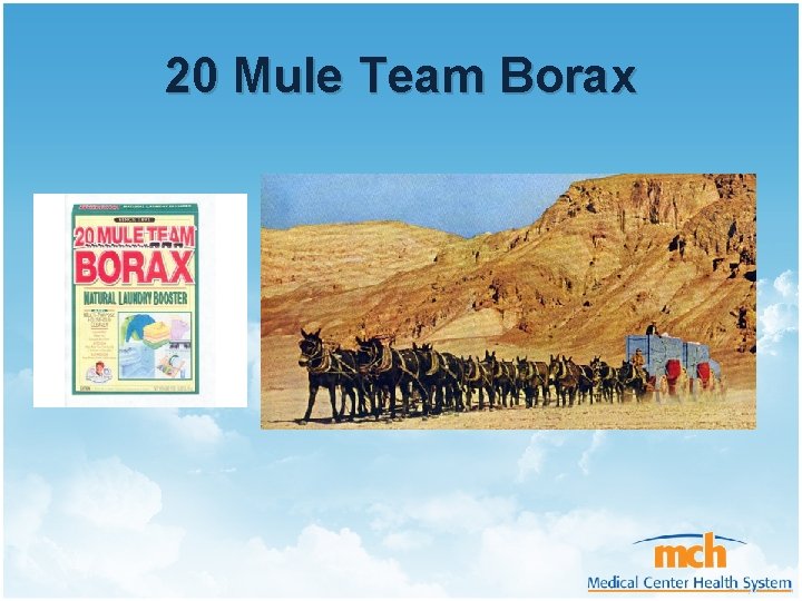 20 Mule Team Borax 