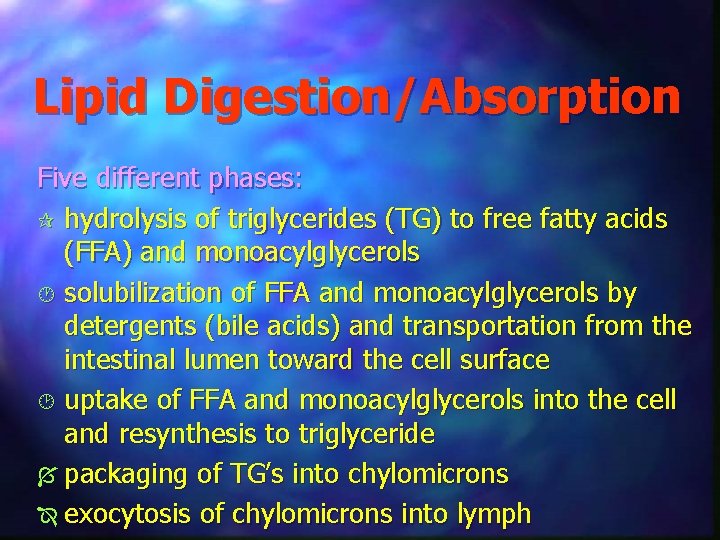 Lipid Digestion/Absorption Five different phases: ¶ hydrolysis of triglycerides (TG) to free fatty acids