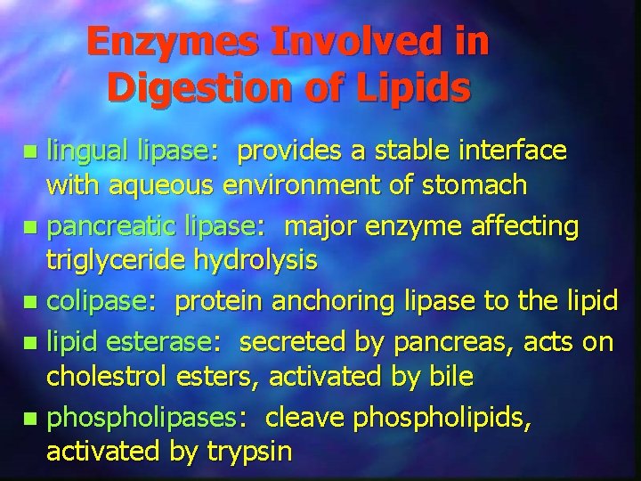 Enzymes Involved in Digestion of Lipids lingual lipase: provides a stable interface with aqueous