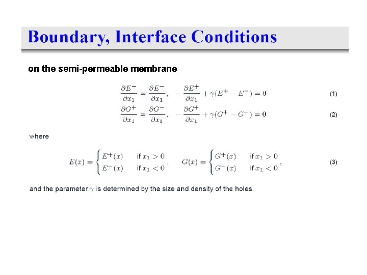 on the semi-permeable membrane 