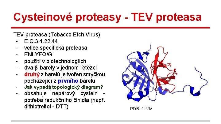 Cysteinové proteasy - TEV proteasa (Tobacco Etch Virus) - E. C. 3. 4. 22.