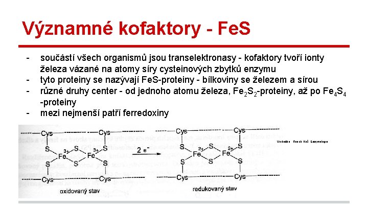Významné kofaktory - Fe. S - součástí všech organismů jsou transelektronasy - kofaktory tvoří