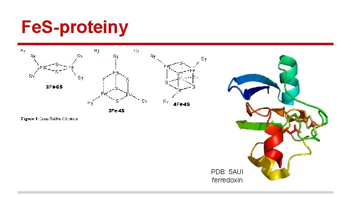 Fe. S-proteiny PDB: 5 AUI ferredoxin 