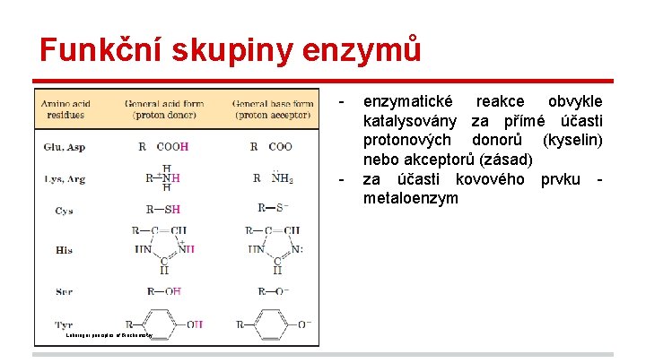 Funkční skupiny enzymů - - Lehninger principles of Biochemistry enzymatické reakce obvykle katalysovány za