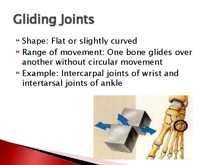 Gliding Joints Shape: Flat or slightly curved Range of movement: One bone glides over