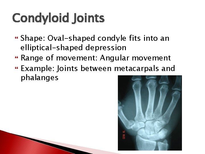 Condyloid Joints Shape: Oval-shaped condyle fits into an elliptical-shaped depression Range of movement: Angular