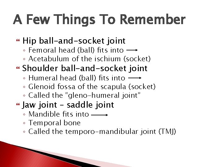 A Few Things To Remember Hip ball-and-socket joint ◦ Femoral head (ball) fits into