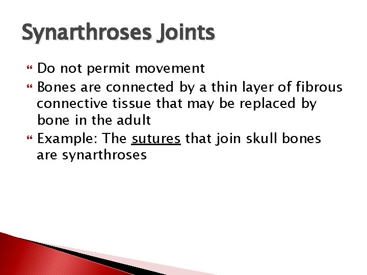 Synarthroses Joints Do not permit movement Bones are connected by a thin layer of