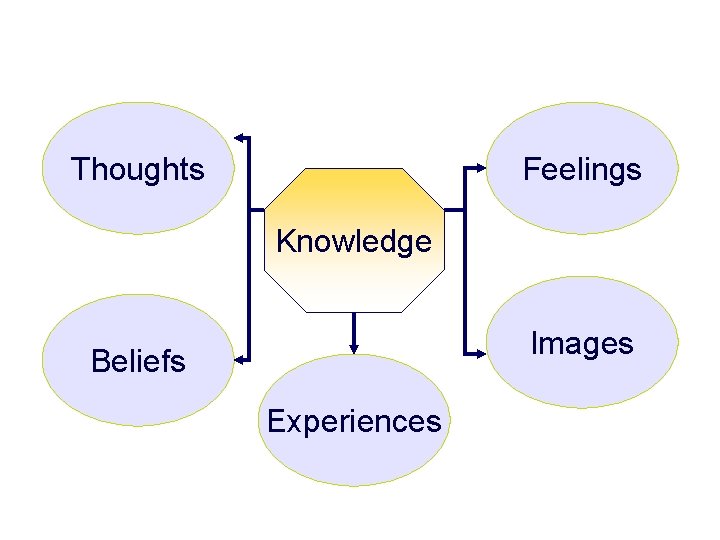 Brand Knowledge Thoughts Feelings Knowledge Images Beliefs Experiences 