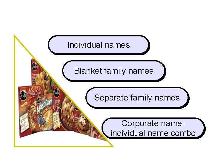 Brand Naming Individual names Blanket family names Separate family names Corporate nameindividual name combo