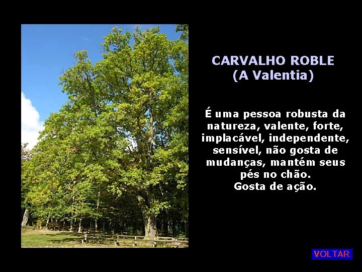 CARVALHO ROBLE (A Valentia) É uma pessoa robusta da natureza, valente, forte, implacável, independente,