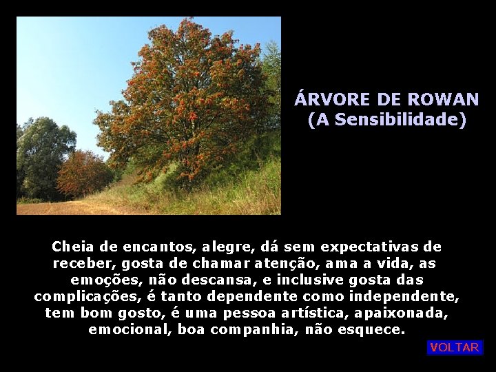 ÁRVORE DE ROWAN (A Sensibilidade) Cheia de encantos, alegre, dá sem expectativas de receber,