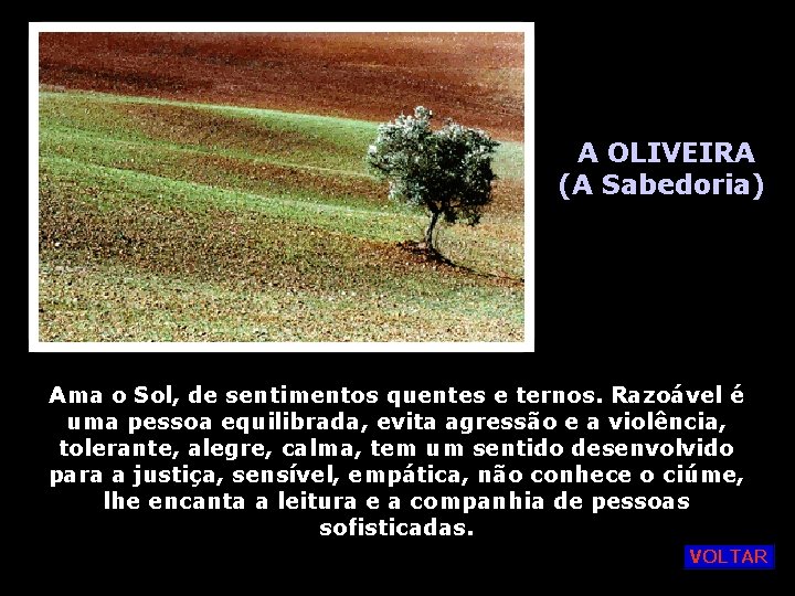 A OLIVEIRA (A Sabedoria) Ama o Sol, de sentimentos quentes e ternos. Razoável é