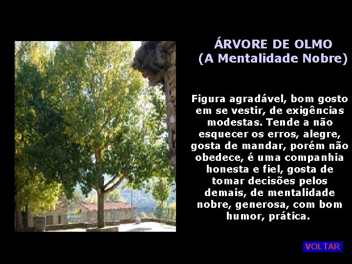 ÁRVORE DE OLMO (A Mentalidade Nobre) Figura agradável, bom gosto em se vestir, de