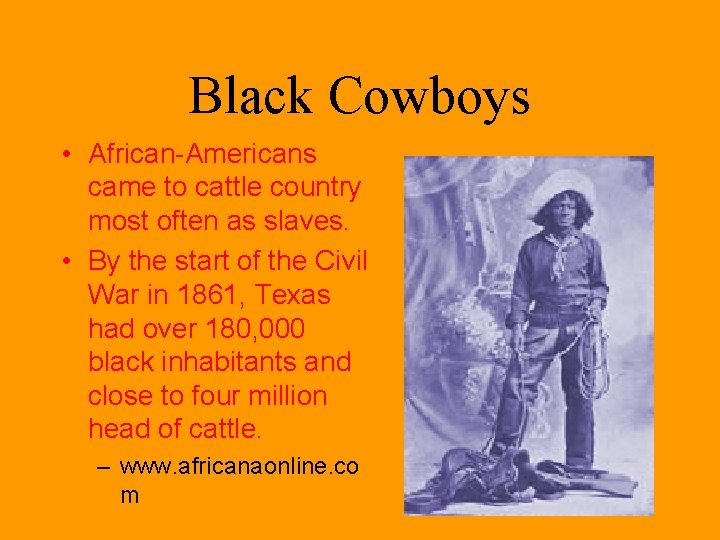 Black Cowboys • African-Americans came to cattle country most often as slaves. • By