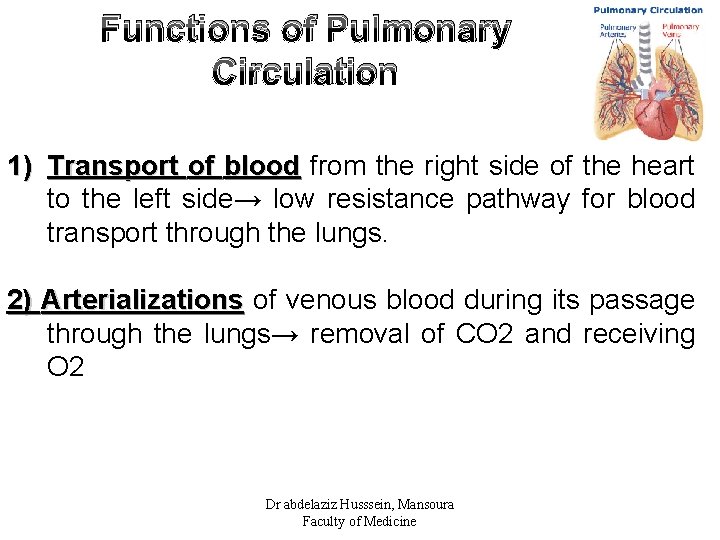Functions of Pulmonary Circulation 1) Transport of blood from the right side of the