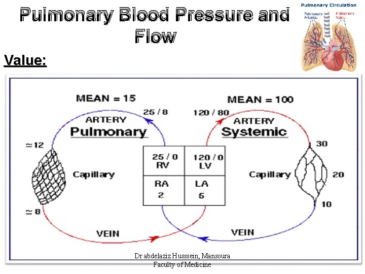 Pulmonary Blood Pressure and Flow Value: Dr abdelaziz Husssein, Mansoura Faculty of Medicine 