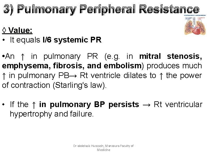 3) Pulmonary Peripheral Resistance ◊ Value: • It equals l/6 systemic PR • An