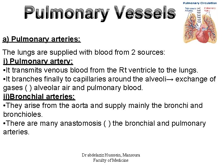 Pulmonary Vessels a) Pulmonary arteries: The lungs are supplied with blood from 2 sources: