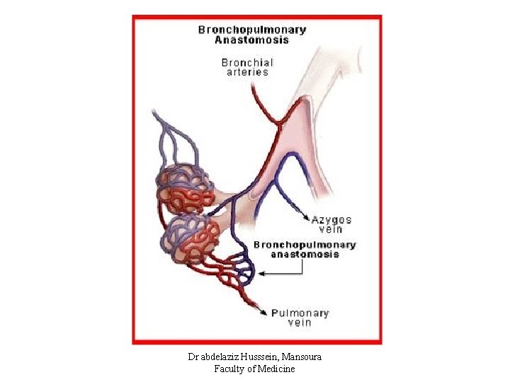 Dr abdelaziz Husssein, Mansoura Faculty of Medicine 