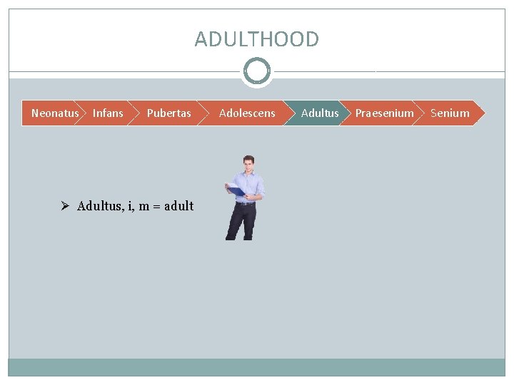 ADULTHOOD Neonatus Infans Pubertas Ø Adultus, i, m = adult Adolescens Adultus Praesenium Senium