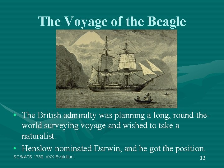 The Voyage of the Beagle • The British admiralty was planning a long, round-theworld