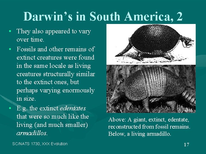 Darwin’s in South America, 2 • They also appeared to vary over time. •