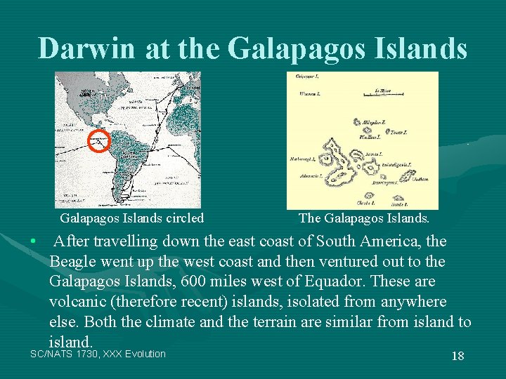 Darwin at the Galapagos Islands circled The Galapagos Islands. • After travelling down the
