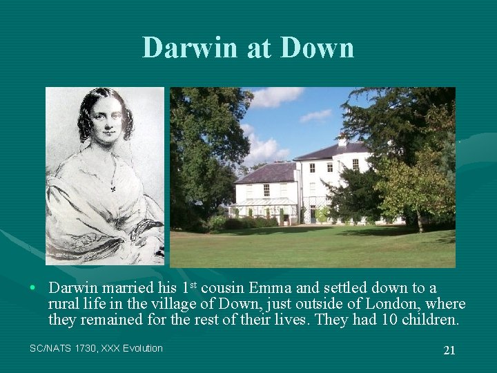 Darwin at Down • Darwin married his 1 st cousin Emma and settled down