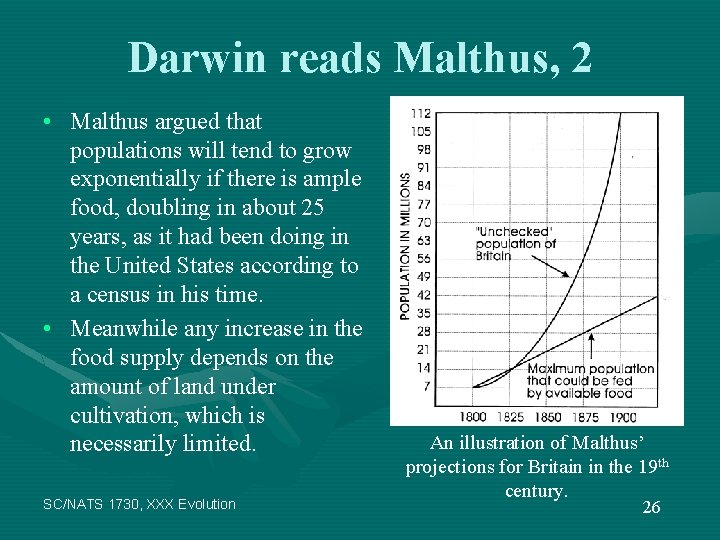 Darwin reads Malthus, 2 • Malthus argued that populations will tend to grow exponentially