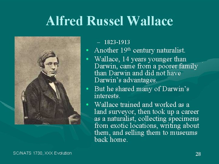 Alfred Russel Wallace – 1823 -1913 • Another 19 th century naturalist. • Wallace,