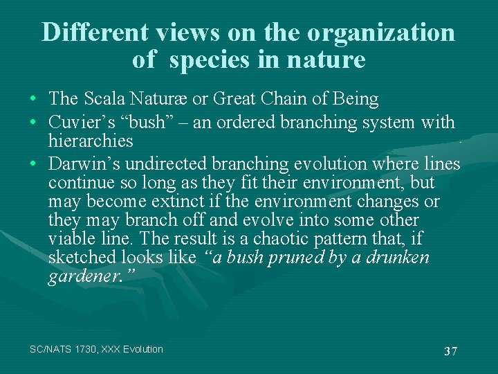 Different views on the organization of species in nature • The Scala Naturæ or