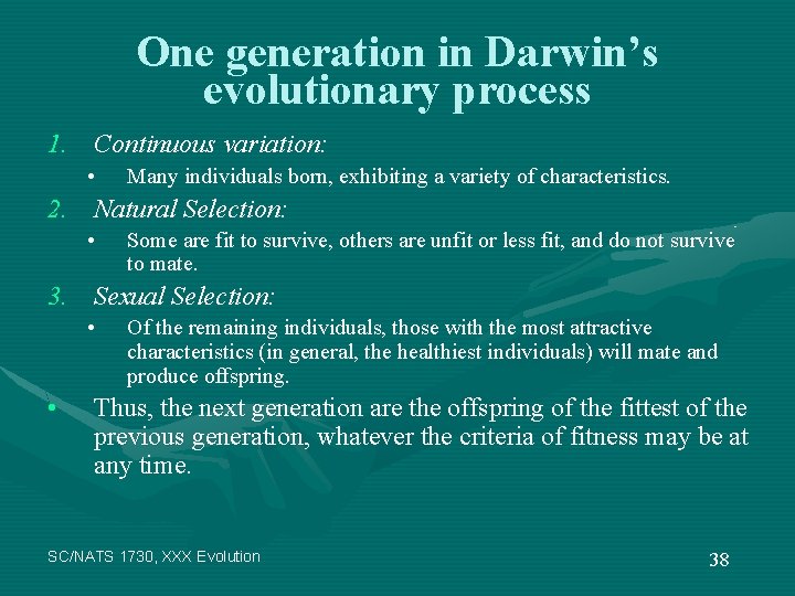 One generation in Darwin’s evolutionary process 1. Continuous variation: • Many individuals born, exhibiting