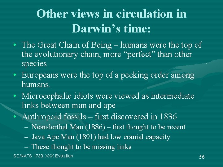 Other views in circulation in Darwin’s time: • The Great Chain of Being –