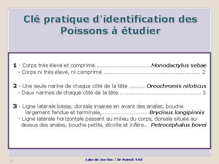 Clé pratique d'identification des Poissons à étudier 1 - Corps très élevé et comprimé.