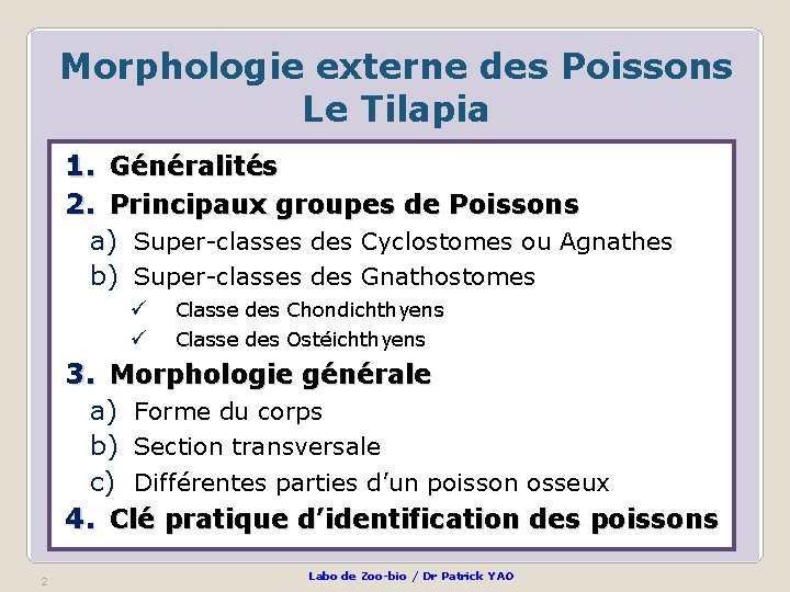 Morphologie externe des Poissons Le Tilapia 1. Généralités 2. Principaux groupes de Poissons a)