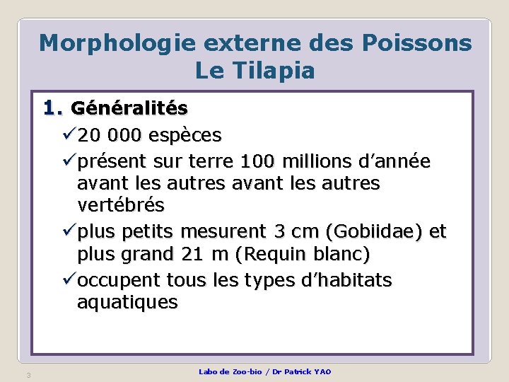 Morphologie externe des Poissons Le Tilapia 1. Généralités ü 20 000 espèces üprésent sur